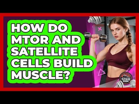 How Do mTOR And Satellite Cells Build Muscle? - Athletes Training Room