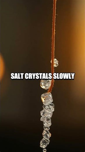 Tiny Lab Adventures Five At-Home Demos