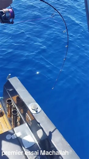 Vidéos de Ad Momo (@ad.momo) avec Highway - ZEPK