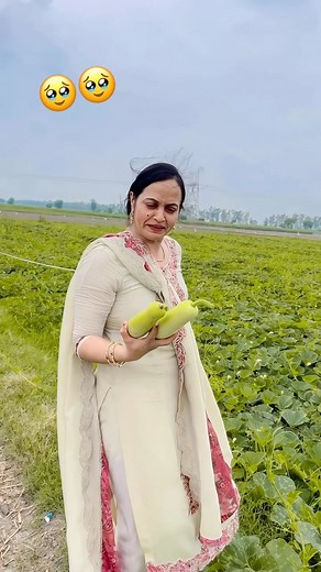 187K views · 4.9K reactions | Full vlog is on YouTube-pawar family vlogs | Narender Pawar | Facebook