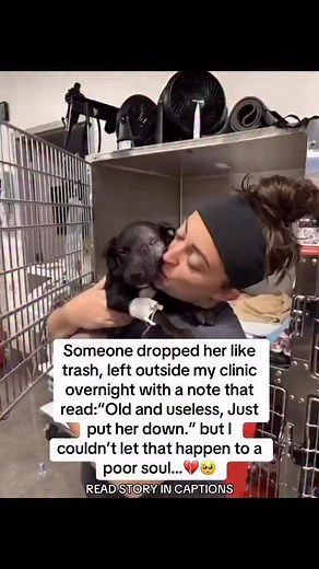 In most shelters, dogs like her don’t make it more than a few days before they’re euthanized. I couldn’t let that happen. 💔 So I brought her home. I named her Maddy. My daughters wrapped her in soft blankets and whispered that she was safe now. At first, she couldn’t even stand without trembling. She ate only tiny bites every movement was painful. Some people said, “Just put her down.” But we refused to give up. We started small: warm bone broth, a little boiled pumpkin, soft chicken. Slowly, h