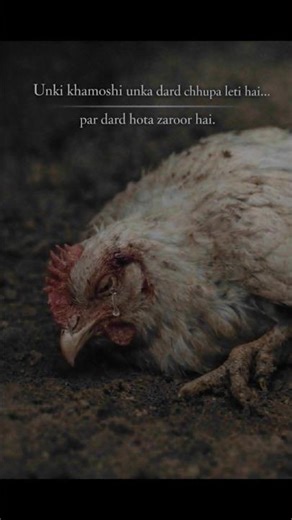 “They Stay Silent… But They Feel Pain 💔” #save animal #save earth #go vegan #shorts