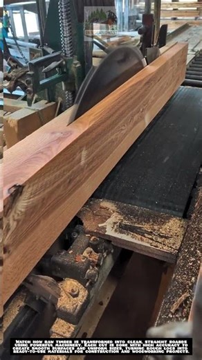 Precision Wood Cutting Process 🪚⚙️