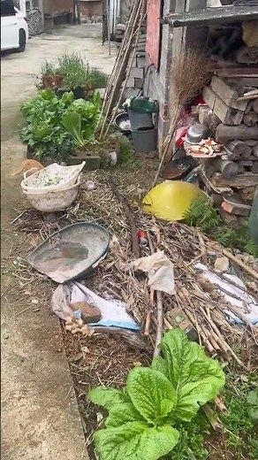 Life in the Countryside: A Serene Escape