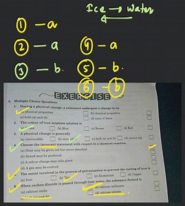 The metal involved in the process of galvanisation to prevent t... | Filo