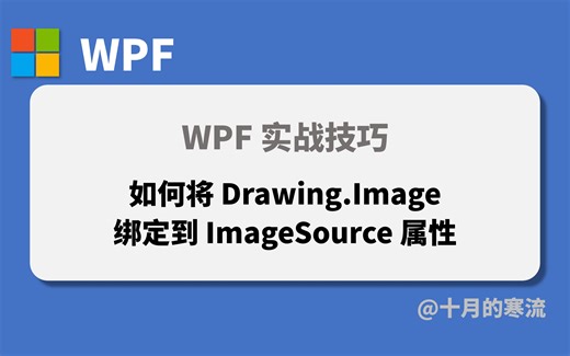 如何将WinForms中的Image绑定到WPF中的ImageSource