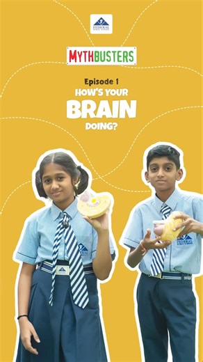 MythBusters Episode 1: How's your Brain doing?