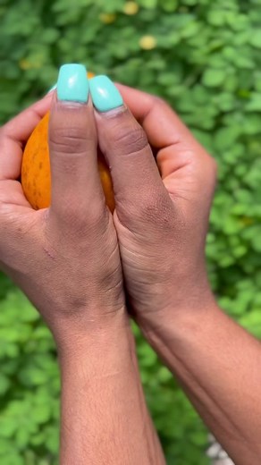 Delicious Egg Fruit Variety Boxes Now Available - Try Canistel Today!