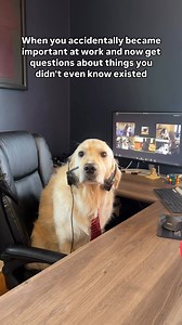 3.6K views · 50 reactions | Well I guess I’ll get to work on that TPS report… 路‍♀️ | Reach Out Recovery | Facebook