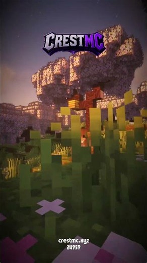 Malayalam Minecraft Server | JOIN NOW