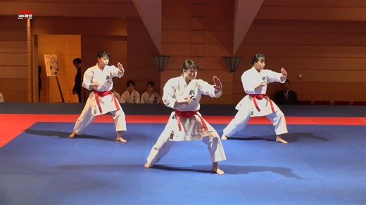 157K views · 3.5K reactions | [BUDOJAPAN KARATE VOD series]...