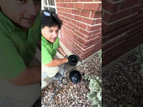 How to set up a mosquito trap