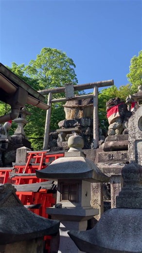 京都の伏見稲荷神社の頂上にきました