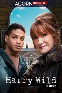 Harry Wild: Season 2 | Rotten Tomatoes