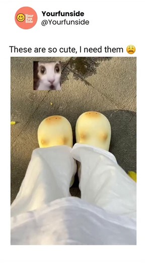 Yourfunside | Walk in style with these slippers that leave adorable cat paw footprints! Soft, comfy, and purr-fect for cat lovers 😻🐾🥿. | Instagram