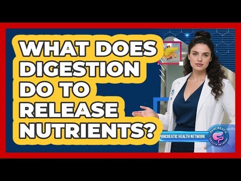 What Does Digestion Do To Release Nutrients?