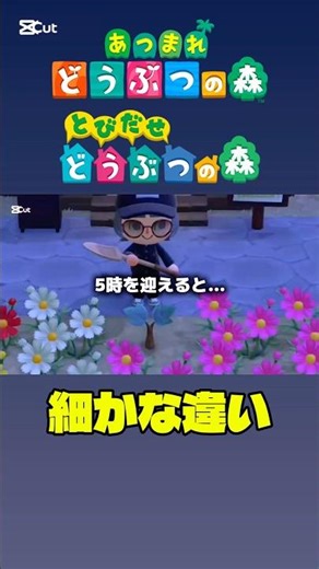 Minor differences between Animal Crossing and New Leaf #AnimalCrossing #AnimalCrossingNewHorizons...