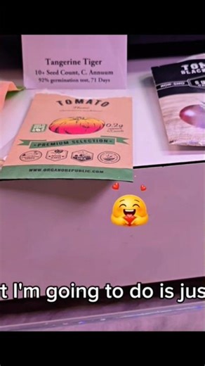 Prepping seeds for indoor & outdoor —Tangerine Tiger Pepper Black Cherry Tomatoes. See full video