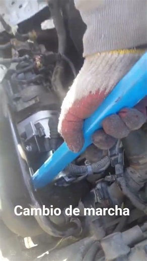 cambio de marcha honda accord 2009