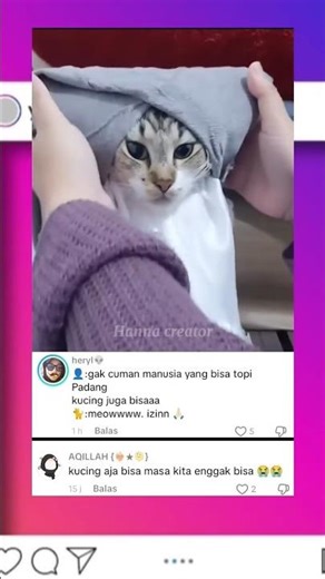 pov kucing minang lebaran