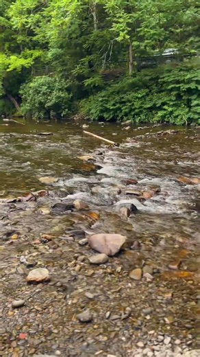 Our First Time Exploring Cherokee, NC