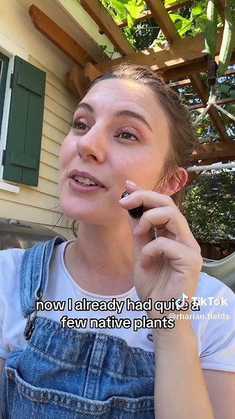 Garden Redesign: Trough Pond and Native Plants