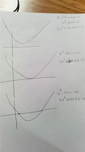 Quadratic Function #insighttutorial