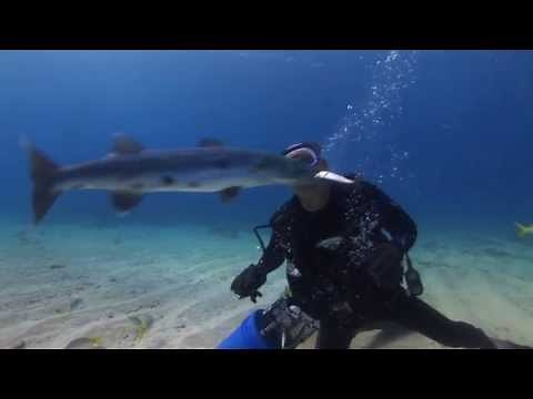 CAPT. SLATE'S CREATURE FEATURE DIVE, KEY LARGO, FLORIDA