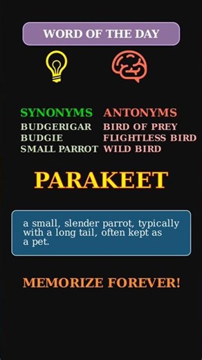 Parakeet: The Word for a Popular Pet Bird 🦜 A Zoology & Pet Care Term