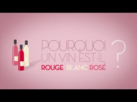 Pourquoi un vin est-il rouge, blanc, rosé ? - toutlevin.com