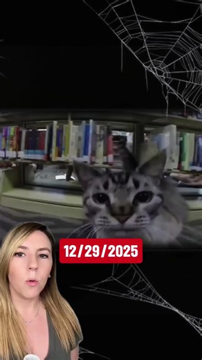 Browser the library cat was once evicted from his position because a local councilman decided he didn’t want a cat in the library. But Browser already had a fan base. Browser made the library a fun place to go again, and even brought kids in regularly to read to him. His removal sparked international backlash and caused the council to reconsider their position on the cat. Browser is now 13 and still has a job. *The library’s air purifier removes allergens from the air, bur if those allergic to c