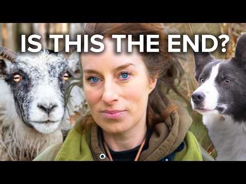 Working It - the best bits so far in 3 minutes