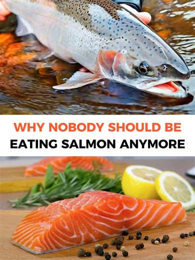 28K views · 31 reactions | Still eating salmon? You might want to think twice. ⚠️ | Happy Living | Facebook