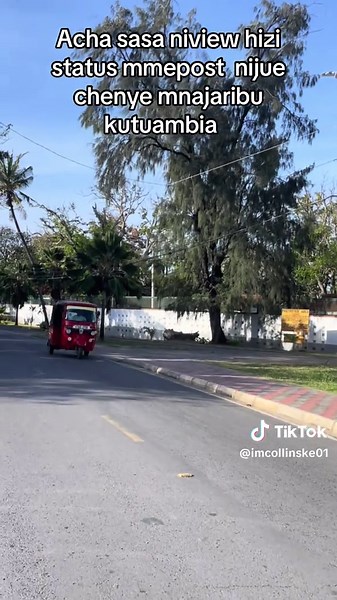 Understanding Your Friends' Status Updates on TikTok