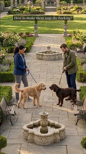 Why Does My Dog Bark At Other Dogs? 🐶 The Simple Training Trick That Works