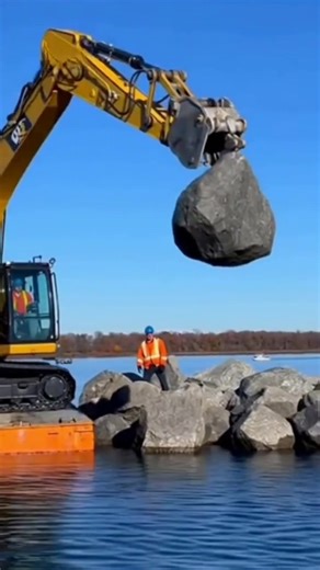 What happened? #viral | the new