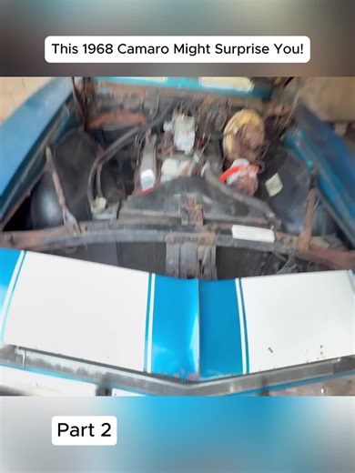 #abandoned #adventure #explore #backyard #junkyard