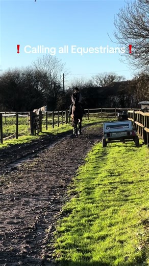 My most favourite opinion in Equine Nutrition is that the environment your horse is in is the number one most inmportant factor! My second favourite opinion is that most feeds are a scam and waste of money🤯 #equestrian #horses #nutrition #equestrianlife #horseriding