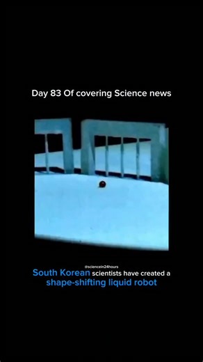 @sciencein24hours | South Korean scientists at Seoul National University have created a shape-shifting, "particle-armored liquid robot" (PB) that can deform,... | Instagram