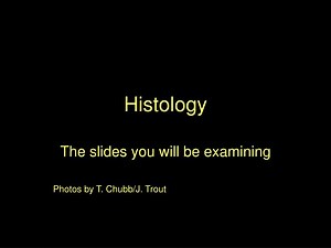 Histology - SlideServe