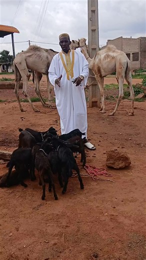 Vidéos de cheikh👳Ibrahim💫barhoud mooré (@marabout.sorry.int) avec son original - cheikh👳Ibrahim💫barhoud mooré