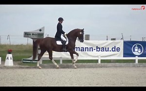 Die Dressurprüfung Kl. S***, Intermediaire II konnte Christian Flamm mit Quat-Royal auf dem Dressurturnier Dresden Gompitz gewinnen 🥇 Herzlichen Glückwunsch! 💐 ▶️ watch.clipmyhorse.tv/Dressurturnier-Dresden-Gompitz | ClipMyHorse.TV Deutschland