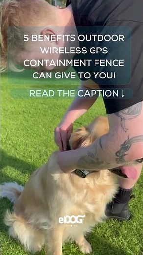 Check out 5 benefits Wireless GPS Dog Boundary Fence can give to you and your dog