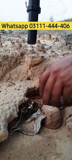 Nokta pulse dive pinpointer