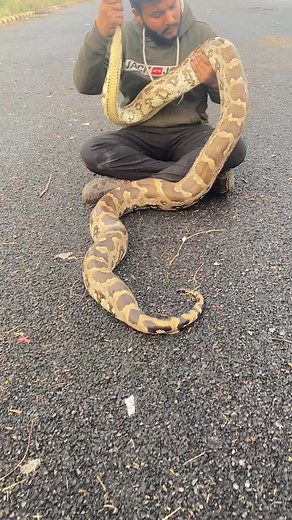 13K views · 166 reactions | Indian rock #python  | Ankit Tarjan | Facebook