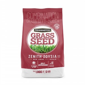 Reviews for Pennington Zenith Zoysia 5 lb. 1,000 sq. ft. Grass Seed and Mulch | Pg 3 - The Home Depot