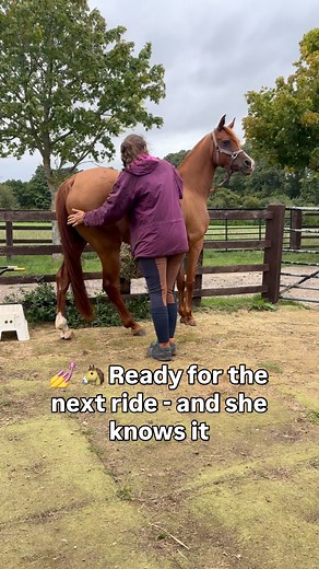 After her second endurance qualifier — and a very hilly 32km in Cornwall at that — Raine’s had a full week off to let her body and mind recover (plus time to digest the 15 hours in the trailer 😅). And let me tell you… she strutted onto the yard this morning like she owns the place 🐎🔥 Chestnut mare attitude? She’s flying the flag proudly this week 😂 💆‍♀️ Raine sees @siobhan_equine_physio every 6 weeks, without fail. I honestly can’t overstate the value of regular physio — not just for fixing