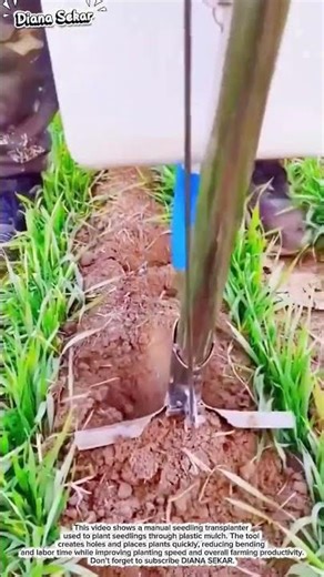 Manual Seedling Transplanter Tool | Fast & Efficient Planting