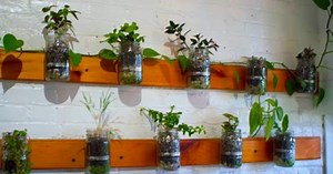 How To Green Your Home With This Mason Jar Garden Tutorial