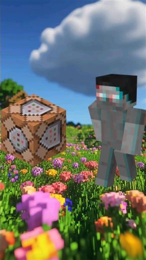 Command Block VS All MINECRAFT ENTITY 😤